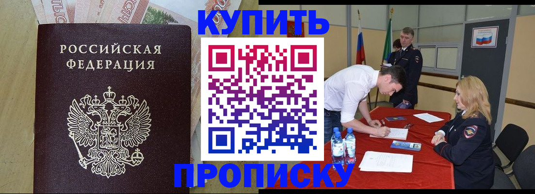 прописка 2025 в Светлогорске