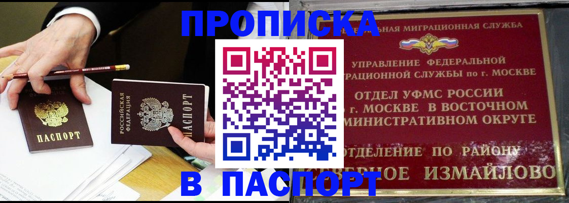 прописка 2025 в Светлогорске